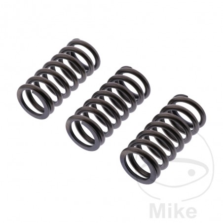 EBC reinforced clutch springs 745.07.76