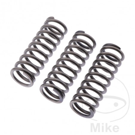 EBC Set of 3 reinforced clutch springs 745.08.21