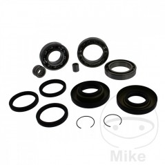 ALL BALLS Complete front differential bearing repair kit 773.01.12
