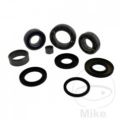 ALL BALLS Complete front differential bearing repair kit 773.05.08