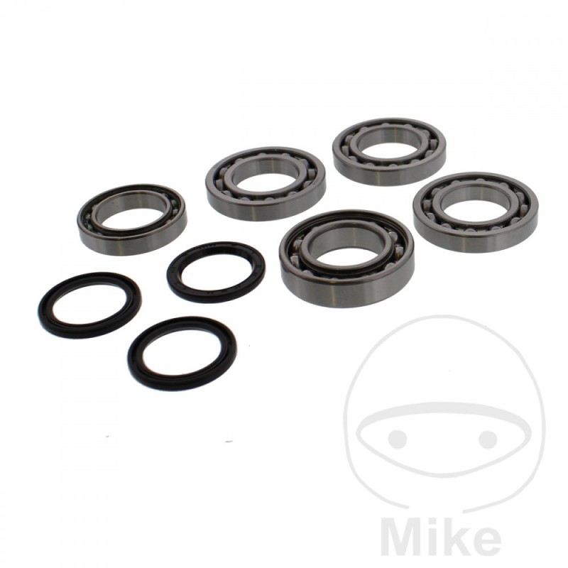 ALL BALLS Complete front differential bearing repair kit 773.05.11