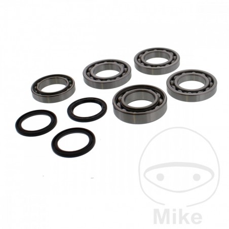 ALL BALLS Complete front differential bearing repair kit 773.05.11