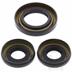 ALL BALLS Front differential bearing repair kit 773.16.71