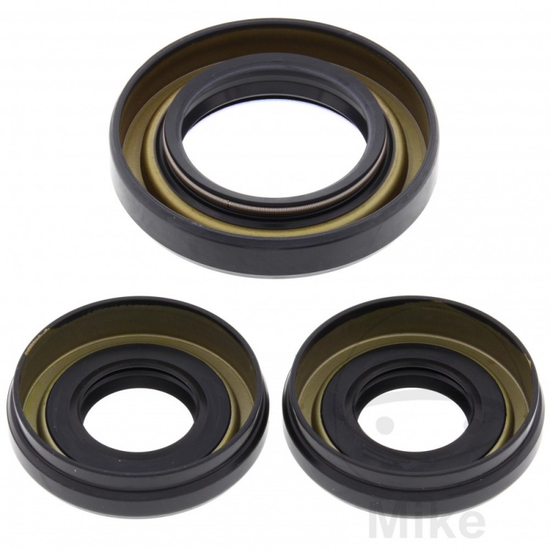 ALL BALLS Front differential bearing repair kit 773.16.71