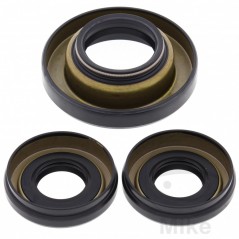 ALL BALLS Front differential bearing repair kit 773.16.75