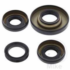 ALL BALLS Front differential bearing repair kit 773.16.77