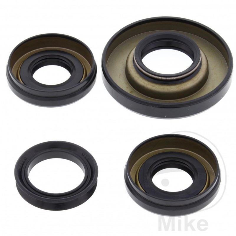 ALL BALLS Front differential bearing repair kit 773.16.77
