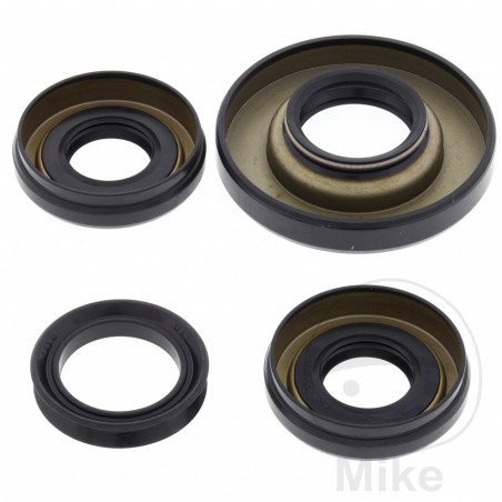 ALL BALLS Front differential bearing repair kit 773.16.77