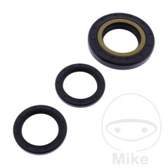 ALL BALLS Front differential bearing repair kit 773.19.58