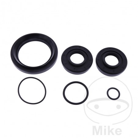 ALL BALLS Front differential bearing repair kit 773.19.61