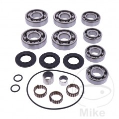 ALL BALLS Complete front differential bearing repair kit 773.19.62