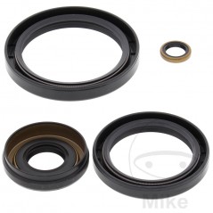 ALL BALLS Front differential bearing repair kit 773.19.68