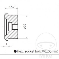 DAYTONA Contrapesos de manillar 730.08.90