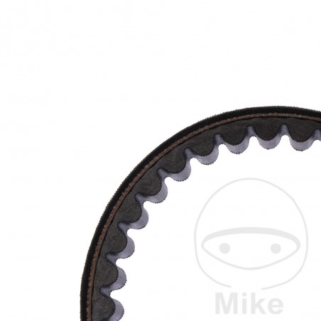 MITSUBOSHI Correa de transmisión para moto 22.1 X 847 755.02.05