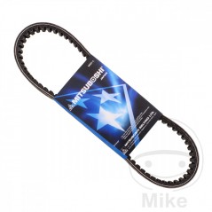MITSUBOSHI Transmission belt for motorcycle 22.0 X 828 755.02.14