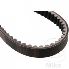 MITSUBOSHI Correa de transmisión para moto 22.0 X 832 755.02.36