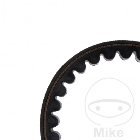 MITSUBOSHI Correa de transmisión para moto 22.2 X 854 755.02.55