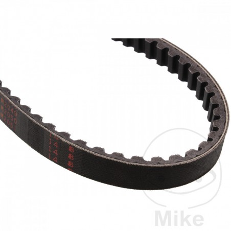 MITSUBOSHI Correa de transmisión para moto 20.1 X 828 755.02.95
