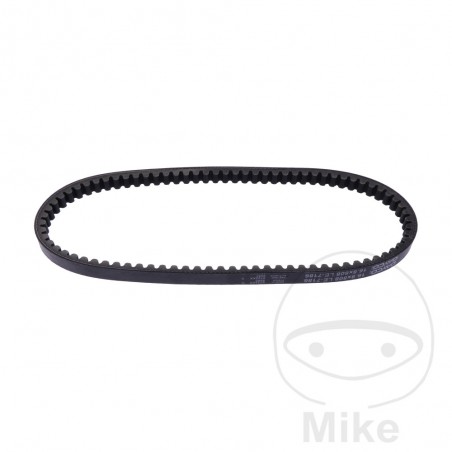 DAYCO Standard drive belt 16.8 X 808 755.03.20
