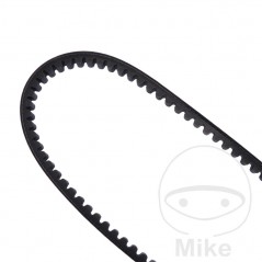 DAYCO Standard drive belt 16.8 X 808 755.03.20