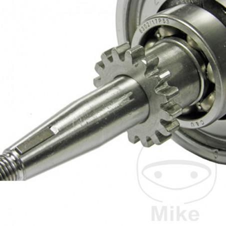 crankshaft 16 teeth 13 MM 756.09.23