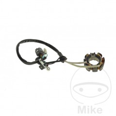 Estator bobina alternador OEM 700.21.85