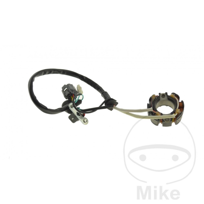 Estator bobina alternador OEM 700.21.85