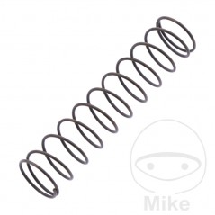 DELLORTO Carburetor spring 724.55.90
