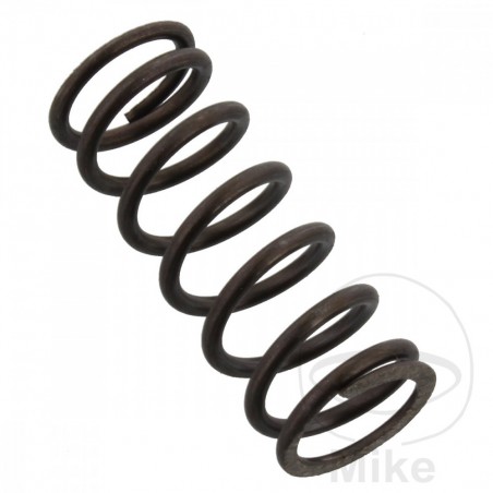 MUELLE DE EMBRAGUE OEM 738.60.05