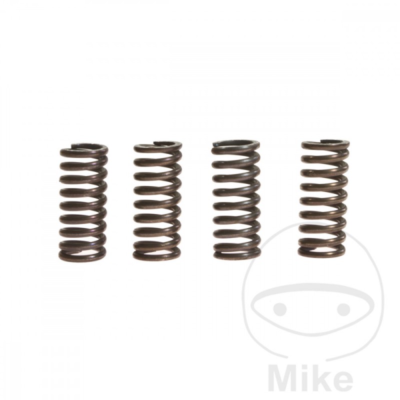 TRW Clutch spring set ALTN: 7459480 738.72.44