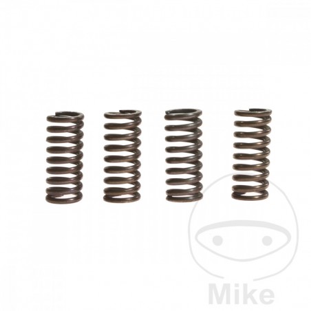 TRW Clutch spring set ALTN: 7459480 738.72.44