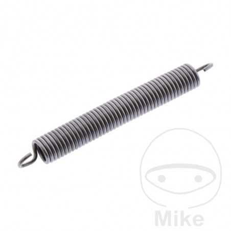 timing chain spring OEM 741.13.24