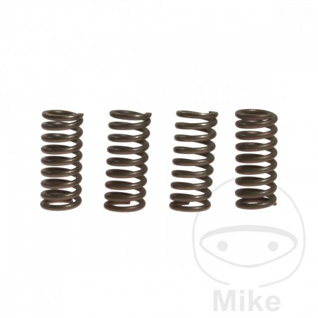 EBC Juego muelles de embrague reforzados ALTN: 7387244 745.94.80