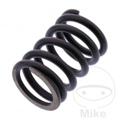 SIEBENROCK valve spring 747.13.46