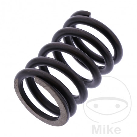SIEBENROCK valve spring 747.13.46