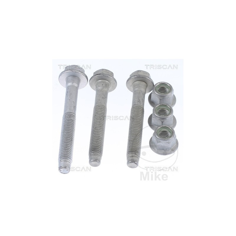 TRISCAN Fork fixing screws 382.58.76