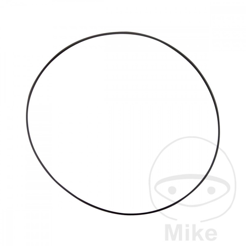ATHENA water pump gasket 2 X 69 MM 734.09.73