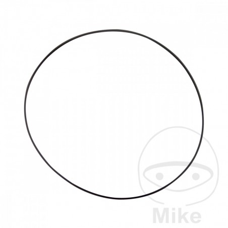 ATHENA Junta bomba de agua 2 X 69 MM 734.09.73