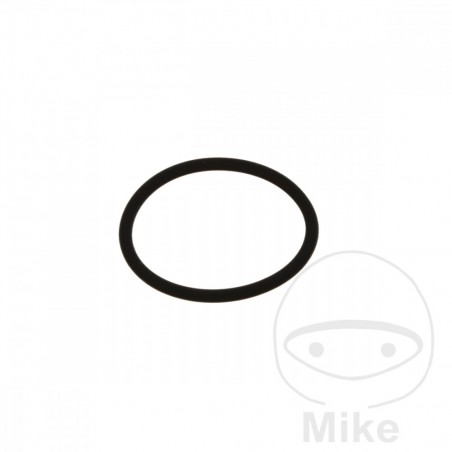 ATHENA starter motor gasket 2 X 25 MM 734.10.13