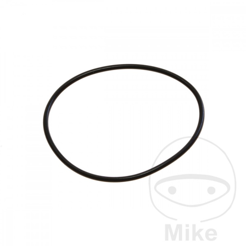 ATHENA O-ring 2 X 54 MM 734.11.37