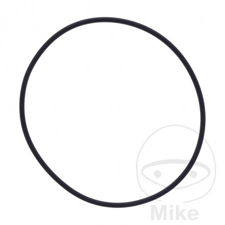 ATHENA Junta bomba de agua 2.5 X 86 MM 734.20.73