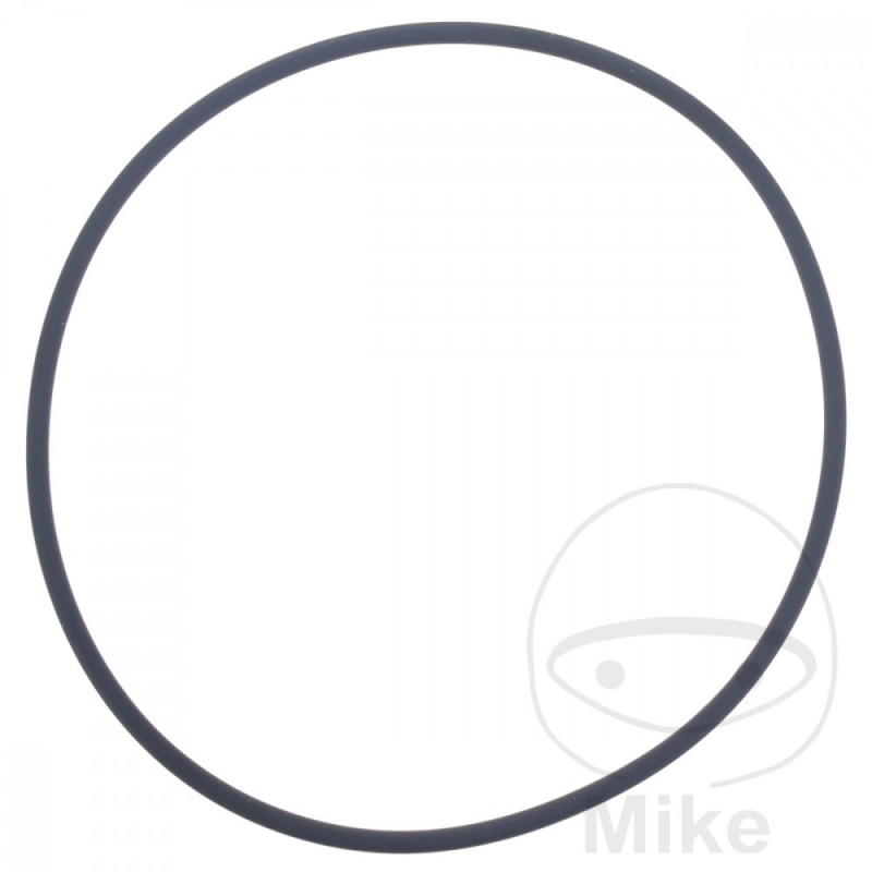 3M Junta bomba de agua 2.5 X 83 MM 734.20.78