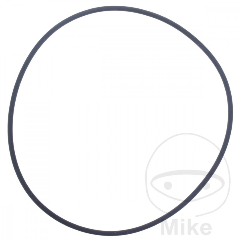 ATHENA water pump gasket 2.5 X 101 MM 734.20.79