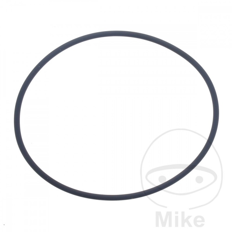 ATHENA water pump gasket 2.5 X 74 MM 734.20.93