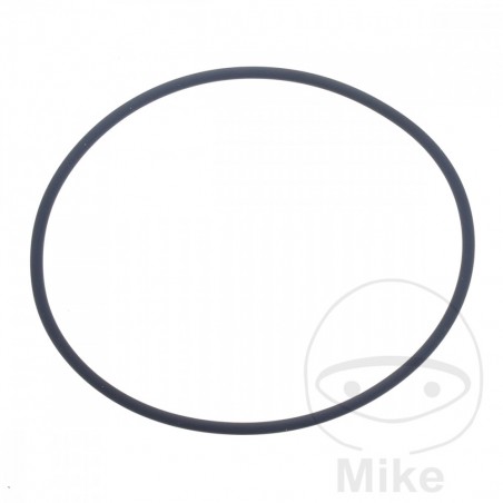 ATHENA water pump gasket 2.5 X 74 MM 734.20.93