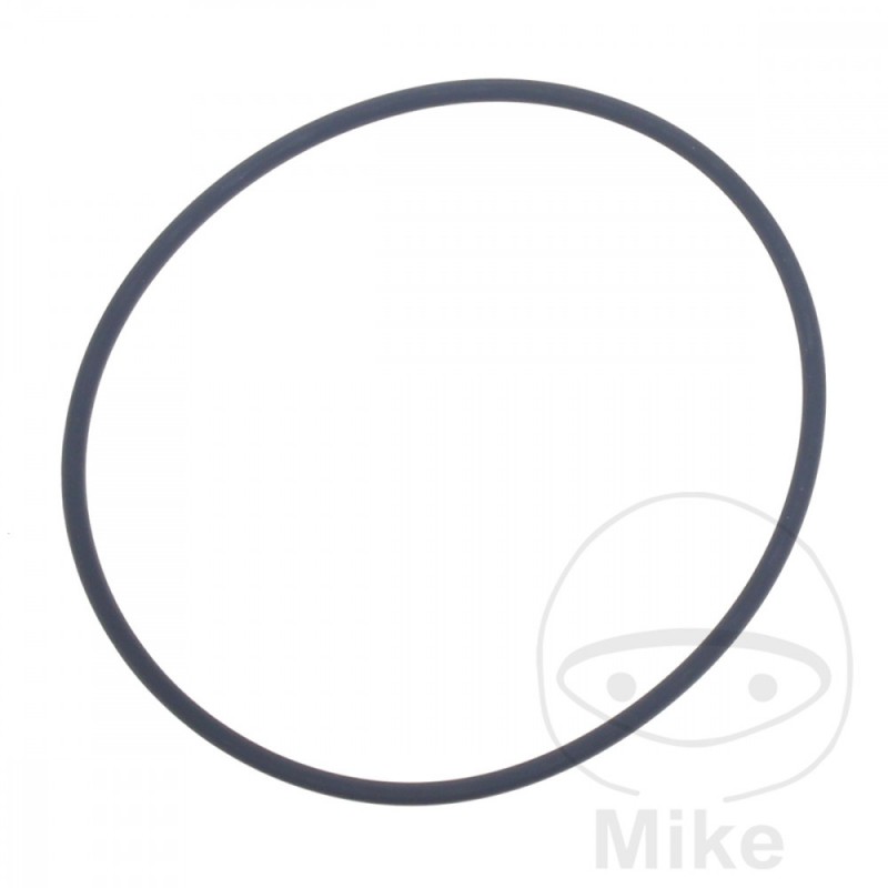 ATHENA water pump gasket 2 X 57 MM 734.20.94