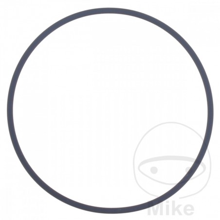 ATHENA water pump gasket 2 X 60 MM 734.20.95