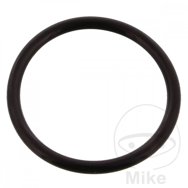 Timing chain tensioner gasket 1.9 X 20.8 MM OEM 734.34.44