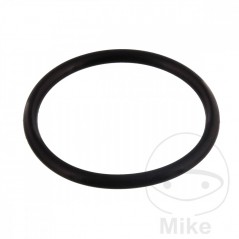 Junta tensor cadena de distribución 1.9 X 24.7 MM OEM 734.34.89