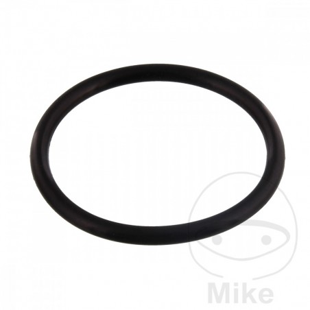 Junta tensor cadena de distribución 1.9 X 24.7 MM OEM 734.34.89